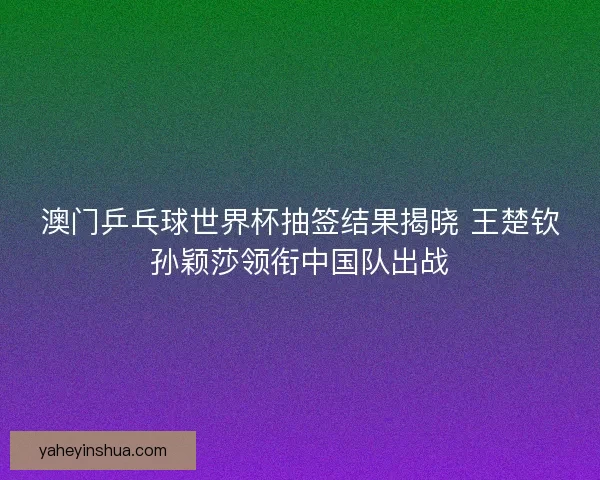 澳门乒乓球世界杯抽签结果揭晓 王楚钦孙颖莎领衔中国队出战