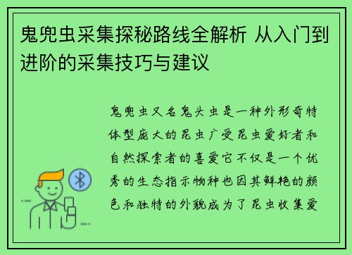 鬼兜虫采集探秘路线全解析 从入门到进阶的采集技巧与建议